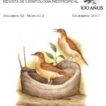 La torcaza es un ave fascinante que merece nuestra atención y cuidado