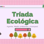La tríada ecológica y su importancia en la sostenibilidad ambiental