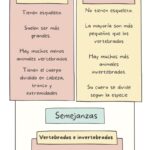 Las características fundamentales que diferencian a los animales vertebrados de los invertebrados