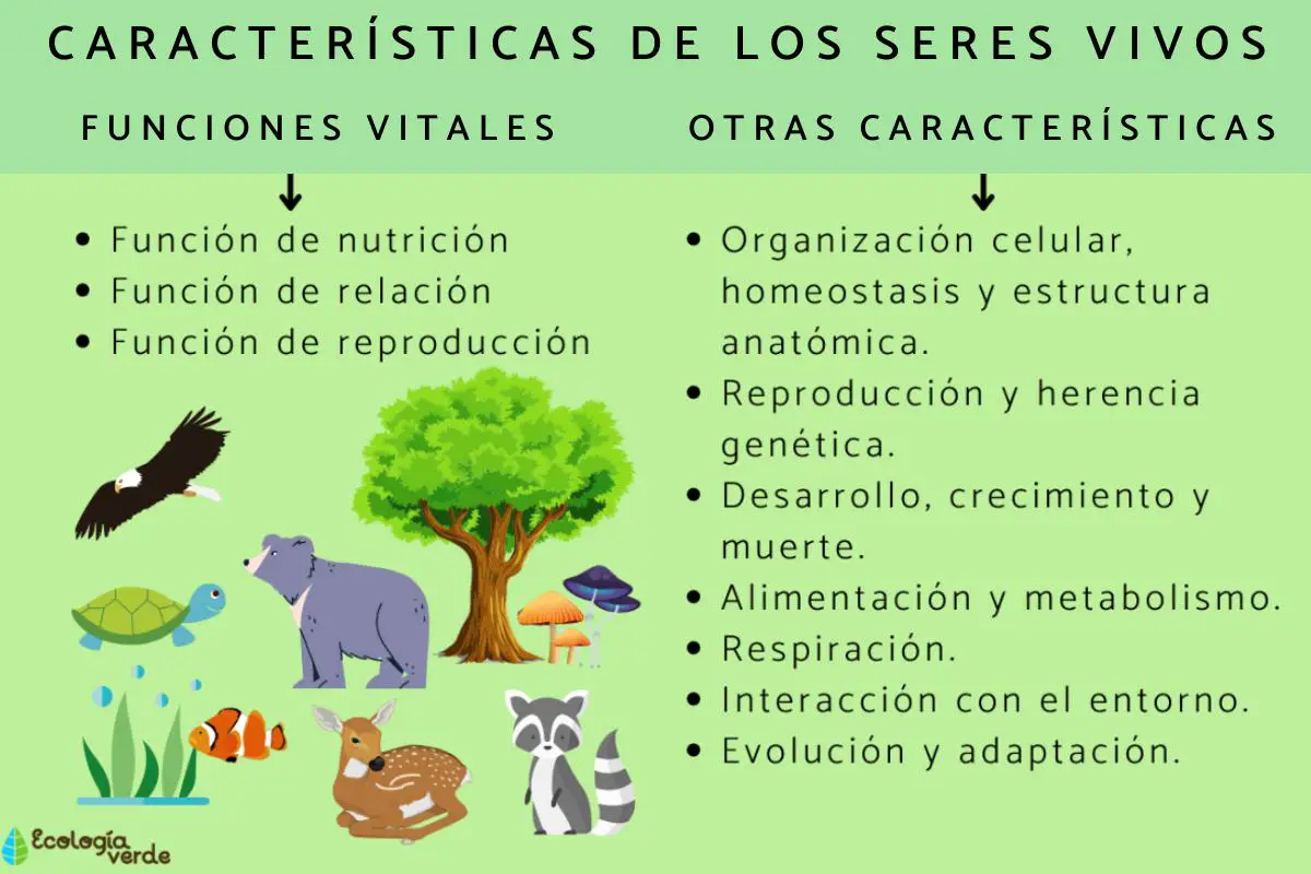 Caracteristicas Que Definen A La Vida ambientologia.com