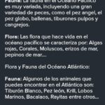 Las Diferencias y Similitudes Entre el Océano Pacífico y el Océano Atlántico