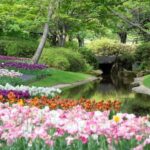 Las Flores de Primavera Transforman Paisajes y Aportan Belleza Natural