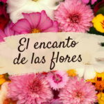 Las frases bonitas de flores transmiten sentimientos profundos y belleza natural