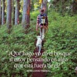 Las Frases de Naturaleza y Paz que Inspiran Reflexión y Serenidad