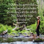 Las frases más inspiradoras para conectarse con la naturaleza cada día