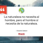 Las frases sobre la naturaleza que nos inspiran y conectan con el mundo