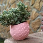 Las macetas elaboradas con material reciclado son una opción sostenible para jardineros responsables