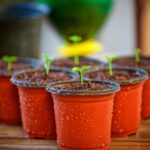 Las Macetas Recicladas Son Una Opción Sostenible Para Tu Jardín y Hogar