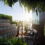 Las plantas que absorben el calor son una solución efectiva para el clima urbano