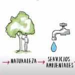 Las Regiones Naturales del Mundo y su Importancia Ecológica y Cultural