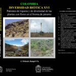 Las Solanáceas representan un grupo diverso y vital de plantas en nuestro ecosistema