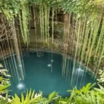 Los ecosistemas de México presentan una rica biodiversidad que merece ser explorada