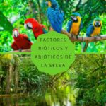Los factores bióticos que determinan la biodiversidad en la selva