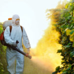 Los insecticidas: su importancia, tipos y aplicaciones efectivas en la agricultura