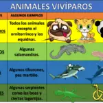 Los ovíparos son seres vivos que se reproducen a través de la puesta de huevos en lugar de dar a luz crías vivas