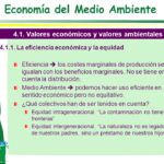 Los valores ambientales son esenciales para la sostenibilidad del planeta