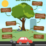 No talar árboles es esencial para la salud del planeta y el bienestar humano