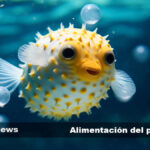 ¿Qué come el pez globo y cómo afecta su dieta a su hábitat y comportamiento?