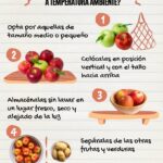 Cuánto tiempo tarda en degradarse una manzana: Guía completa sobre la conservación de frutas y verduras