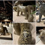 Descubre el Enigmático Leopardo de Amor: Un Viaje al Mundo Animal