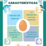 Descubre el Fascinante Mundo de los Animales Ovíparos para Niños