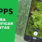 Descubriendo el Mundo Verde: Una Guía sobre Plantas, Tecnologías y Más