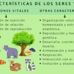 Descubriendo la Función Vital: ¿Cuál es la Función de los Seres Vivos?